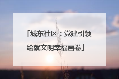 城东社区：党建引领绘就文明幸福画卷